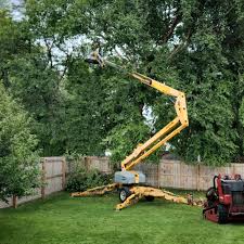 Best Tree Risk Assessment  in Bristol, TN