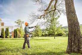 Best Emergency Tree Removal  in Bristol, TN